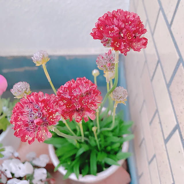 smallroomさんの実例写真