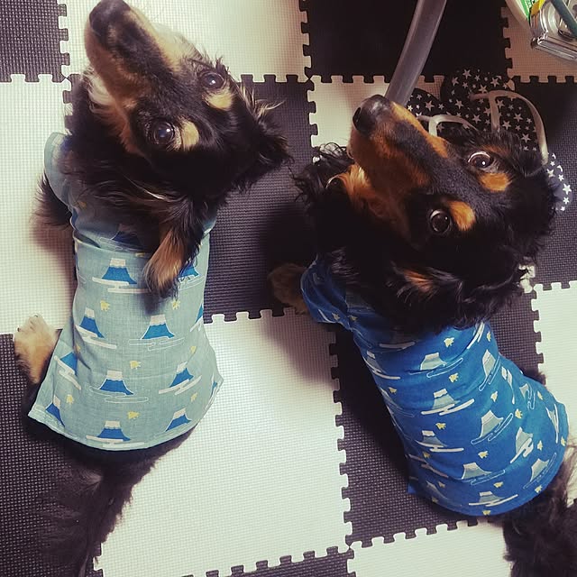 reotanさんの実例写真