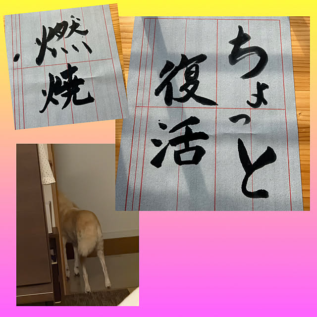 tanboさんの部屋