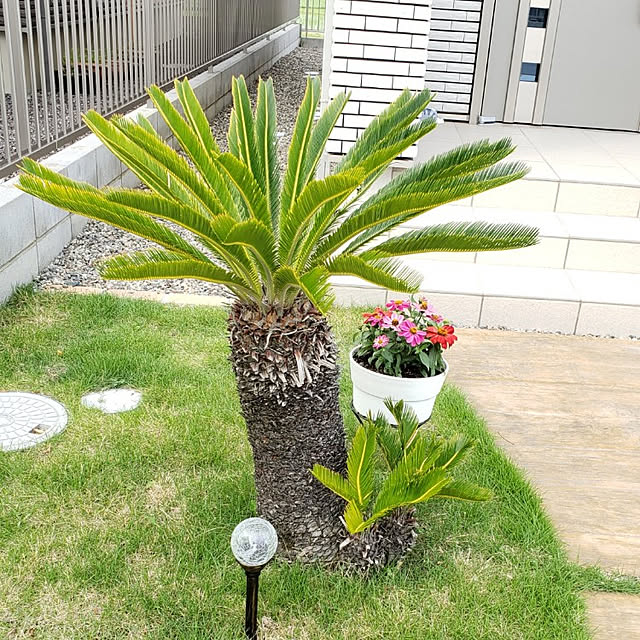 yuppiさんの実例写真