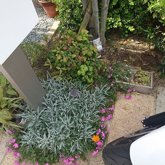 mmfamilyさんの部屋
