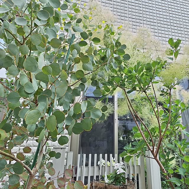 souさんの部屋