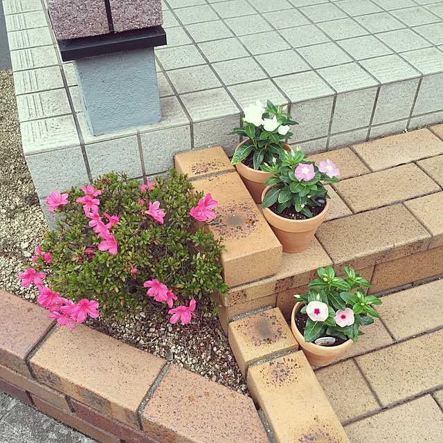 miki_kさんの実例写真