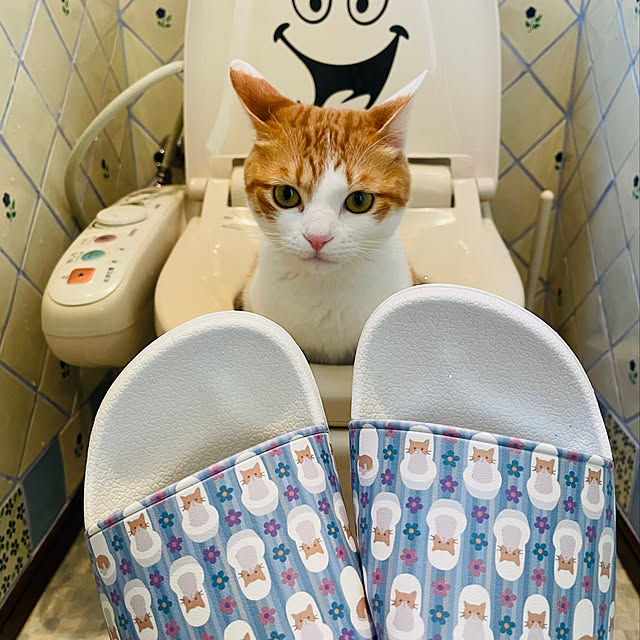 meさんの実例写真