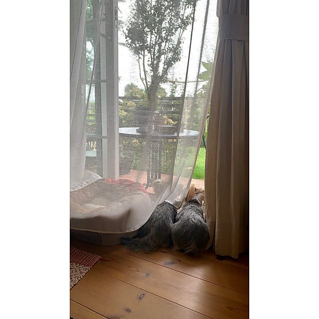 misacoさんの実例写真