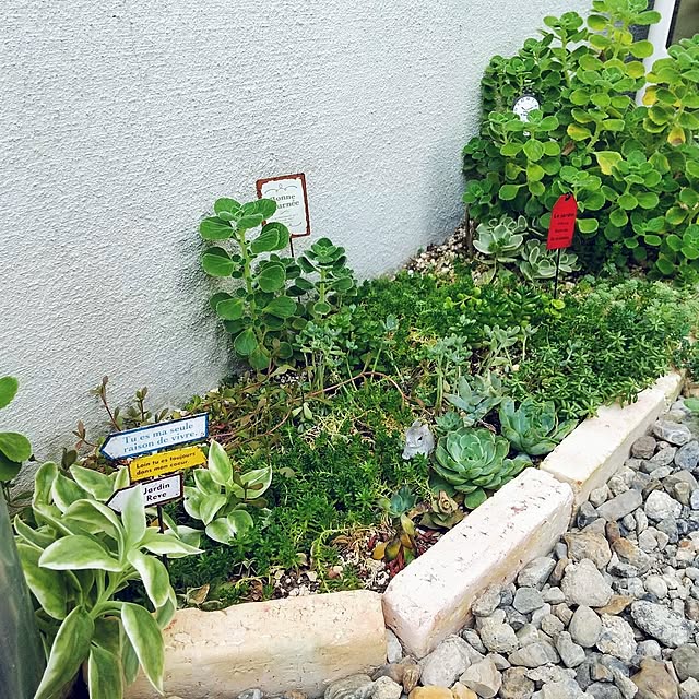 meiさんの実例写真