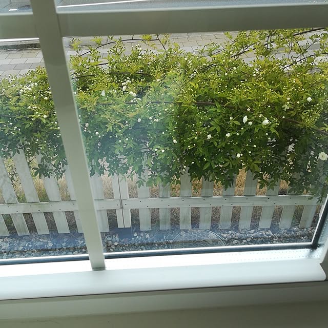 aoi0915さんの実例写真