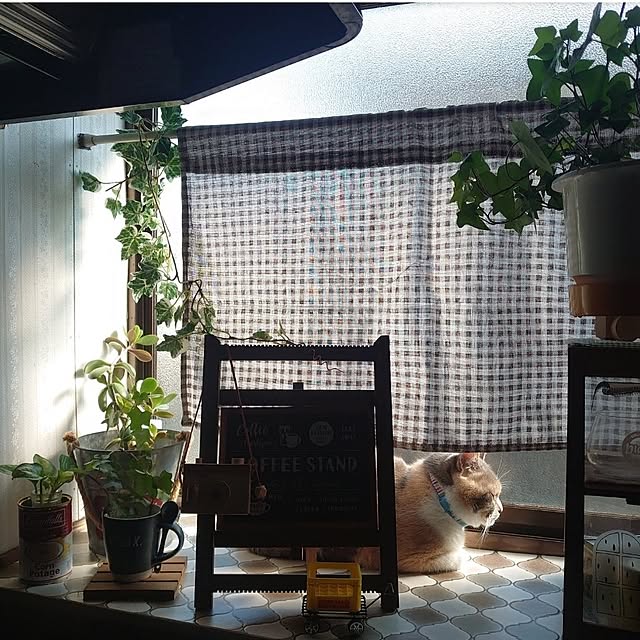 fukuさんの実例写真