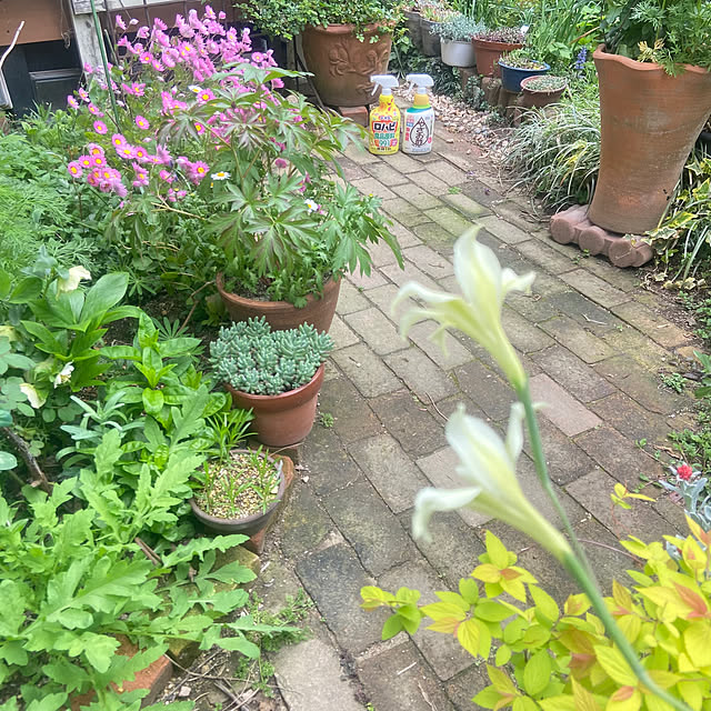 na-chanさんの部屋