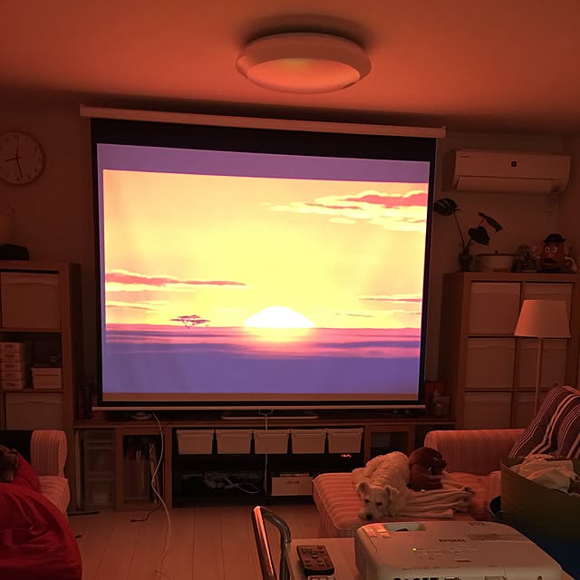 suzyさんの実例写真