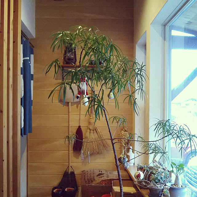 t.yumiさんの実例写真