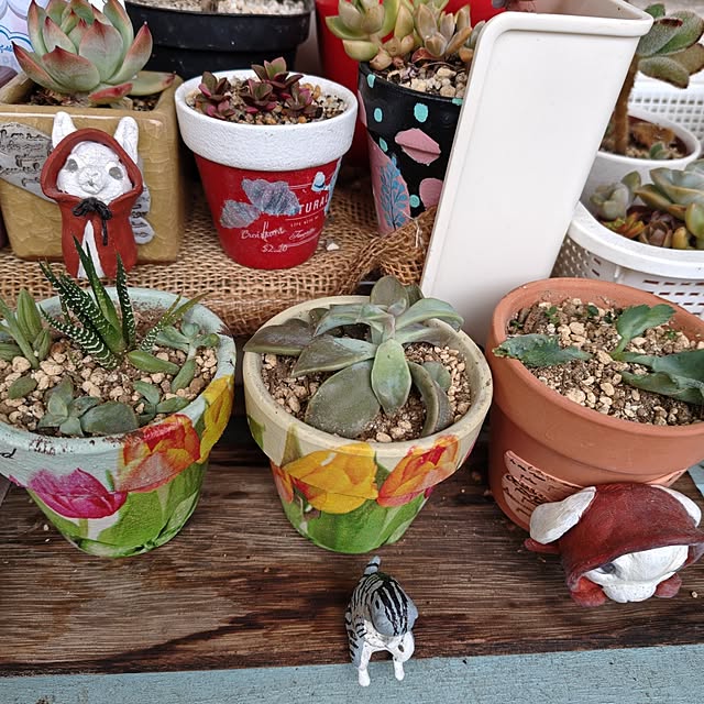 mariaさんの実例写真