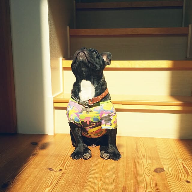 kuuuuさんの実例写真