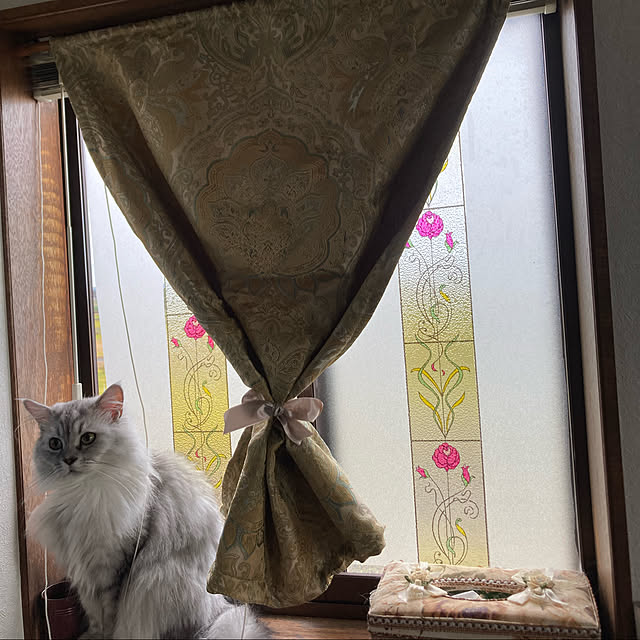 Biancaさんの実例写真
