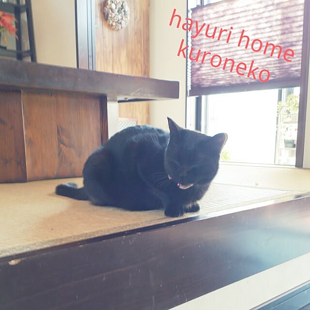 misaさんの実例写真