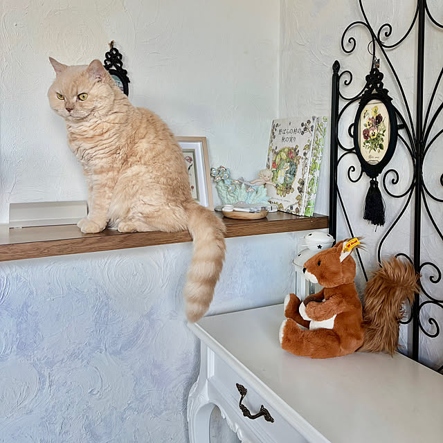 naokoさんの実例写真