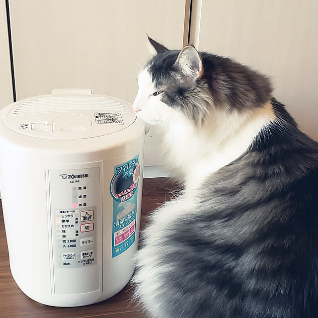 mofさんの実例写真