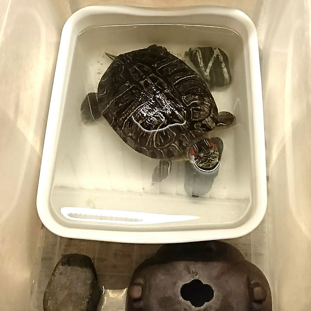 bonobono54さんの実例写真