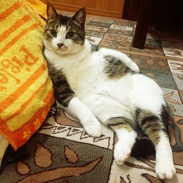 asianoneさんの実例写真
