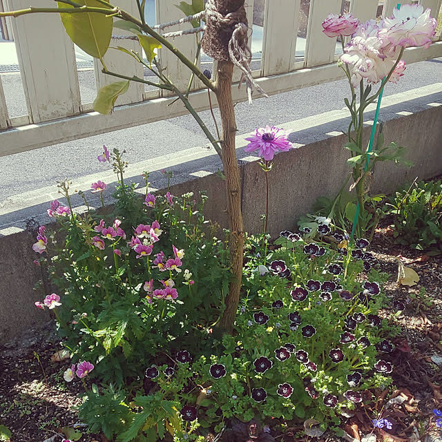 A.hさんの実例写真