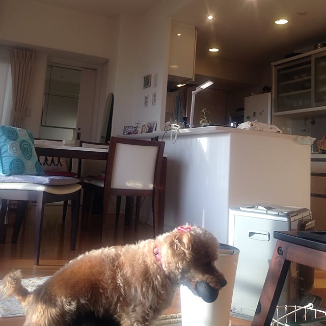 yさんの実例写真