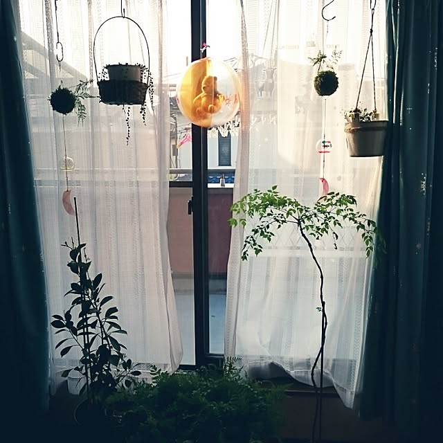 m.a.a.kさんの実例写真