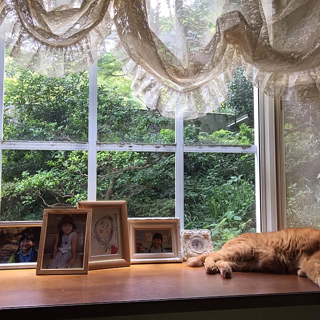 実例写真
