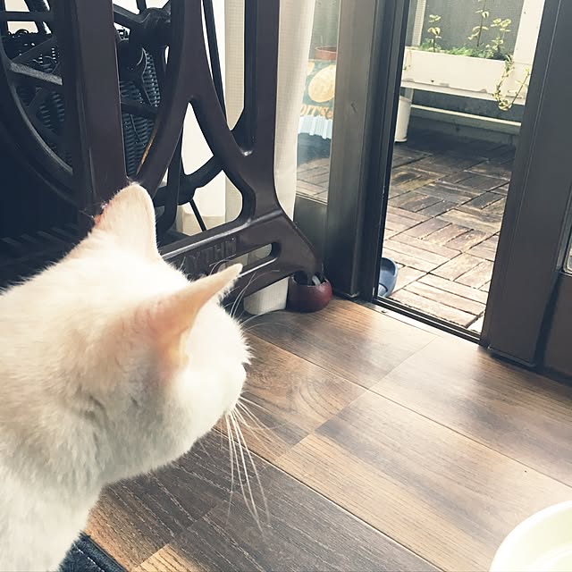 Miechamさんの実例写真