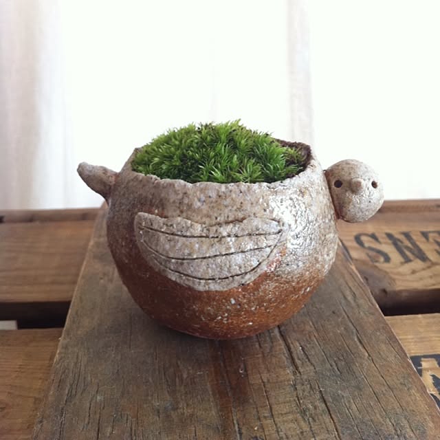 naominさんの実例写真