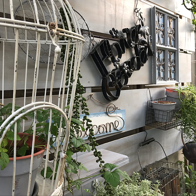 観葉植物/雑貨/アンティーク/ハンドメイド/ガーデニング...などのインテリア実例 - 2020-10-01 21:08:12