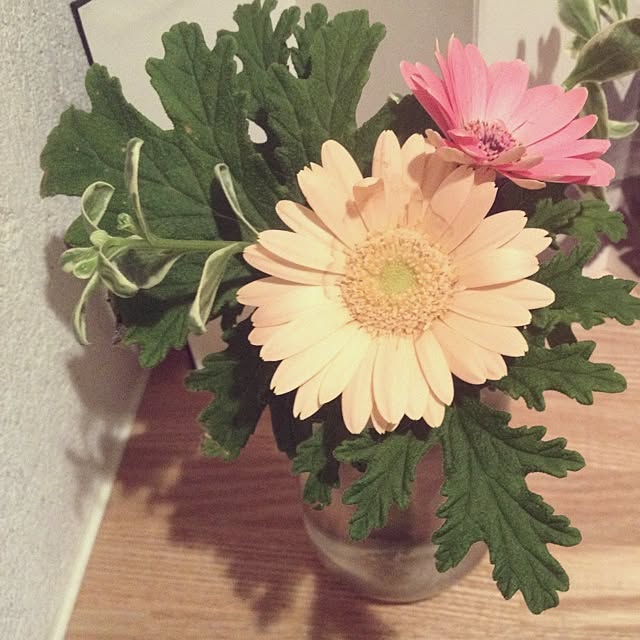 sprg_y7さんの実例写真