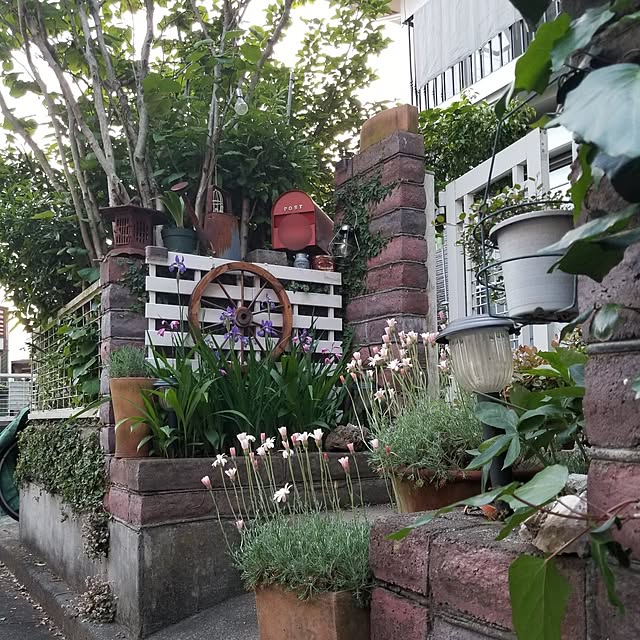 midoriさんの実例写真