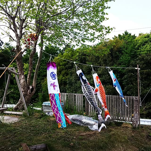 sakuraさんの実例写真