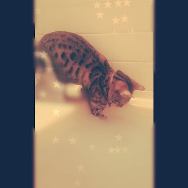 fuku-fuku-fuさんの実例写真