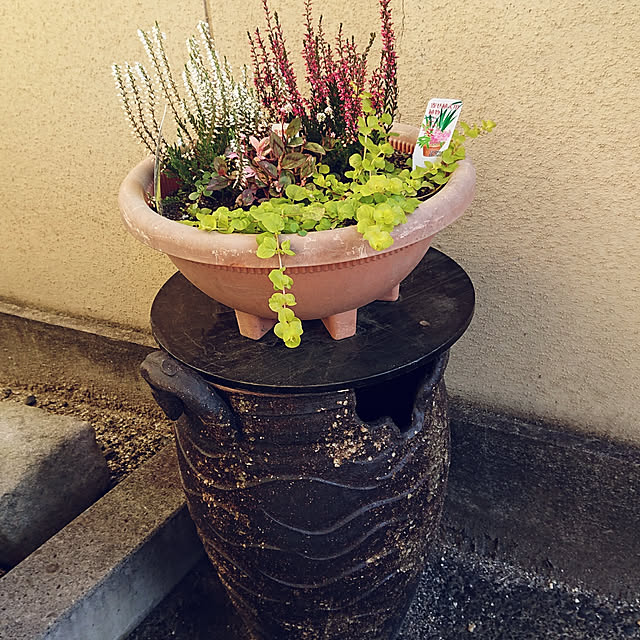 hiro.さんの実例写真