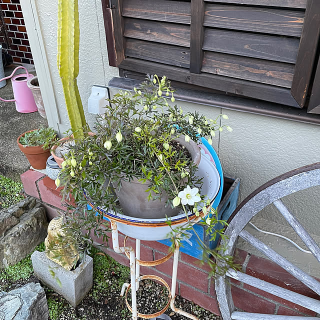 shin0719さんの部屋