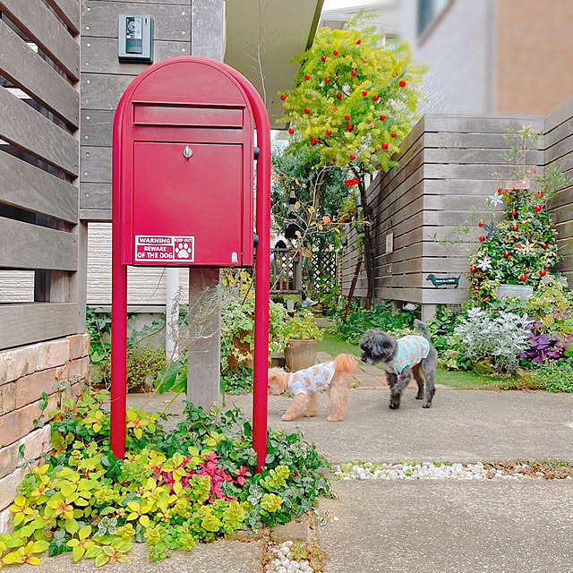 実例写真