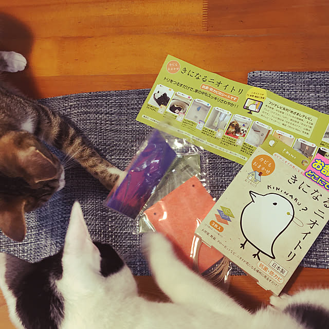nobikoさんの実例写真
