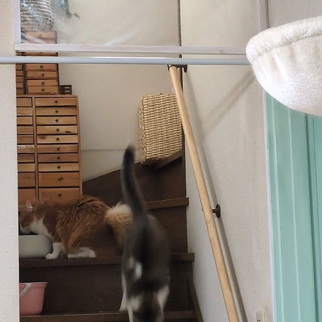 mori_6_12さんの部屋