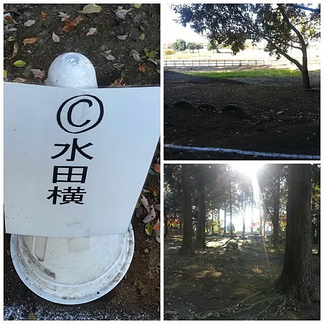 naoさんの実例写真