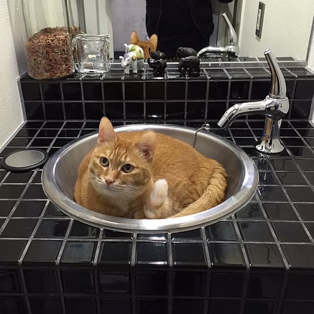 AkiOgawaさんの実例写真