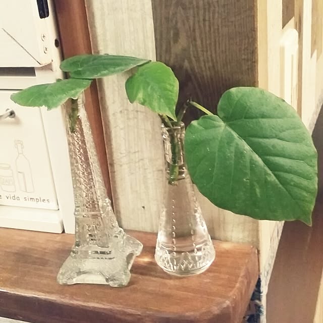 nuku-nuku.さんの実例写真