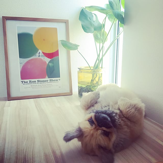 Eijiさんの実例写真