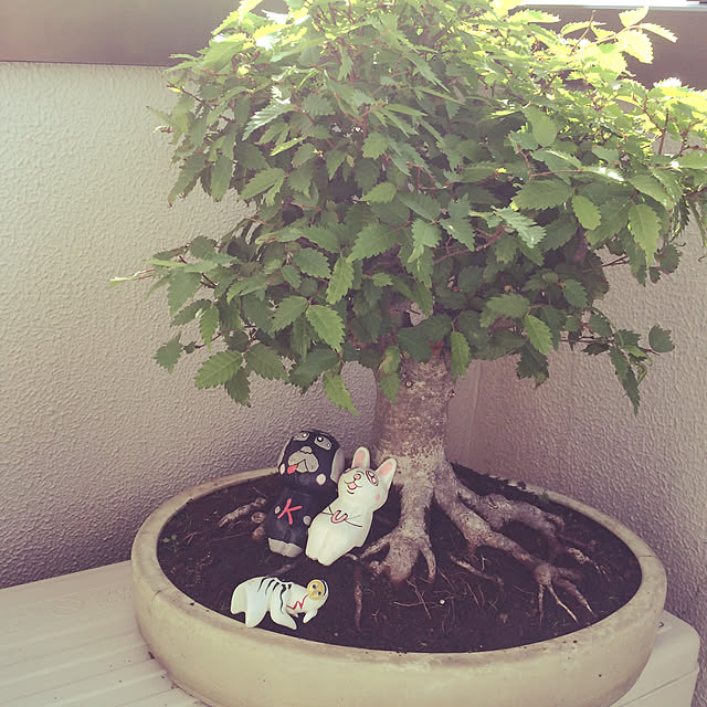 tadatomoさんの実例写真