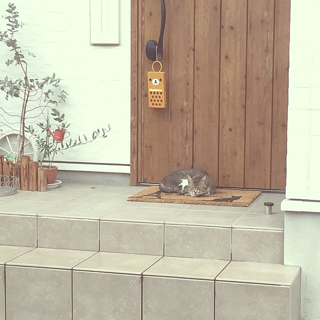 yukinyanさんの実例写真