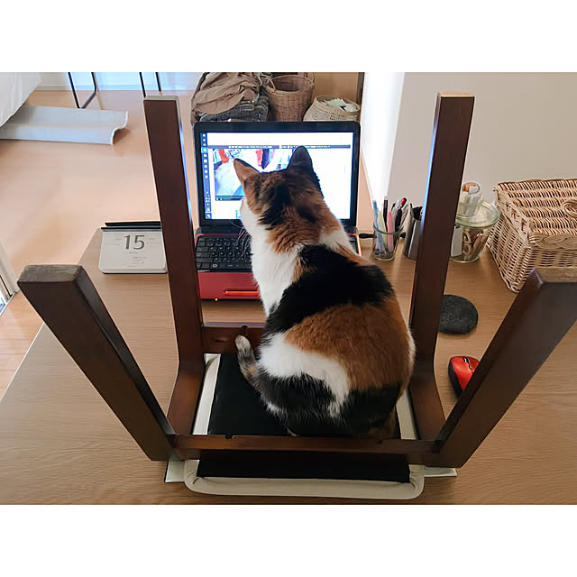 warashibeさんの実例写真