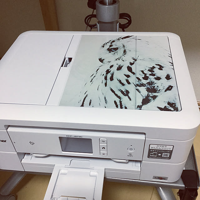 kojig3さんの実例写真