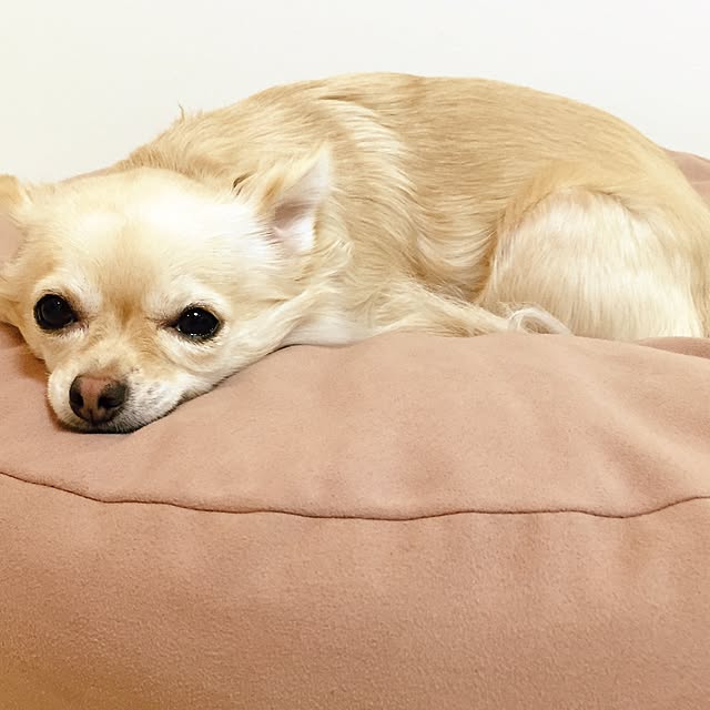 Fenさんの実例写真