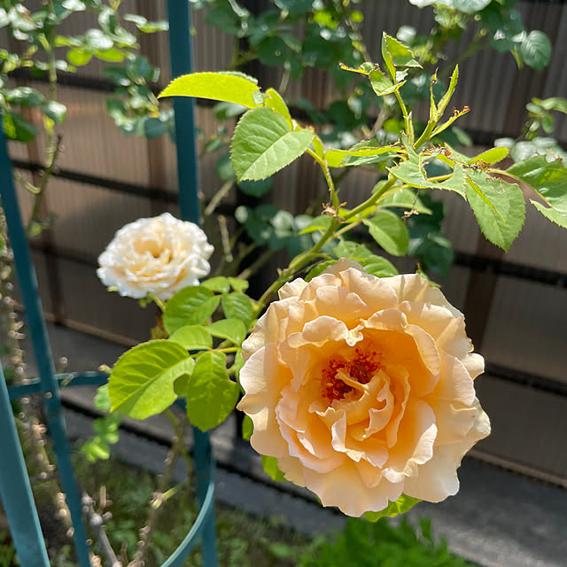 kakoさんの部屋