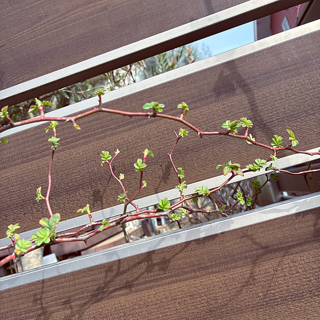 ayayayayaさんの部屋